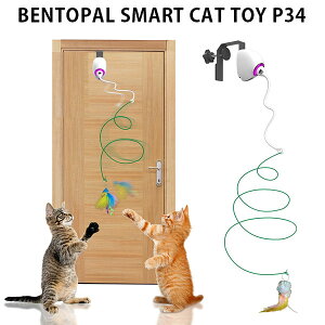 BENTOPAL SMART CAT TOY P34 dLp xgp L d ^s XgXU ЂƂV ybgߋ L炵  Mtg v[g  hA t