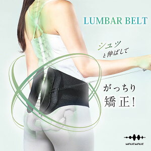 yTtFHURON܁zLUMBAR BELTbWAVEWAVE LUMBAR BELT Ճxg  T|[^[ Ջ RZbg  xg xg ␳ p EFCuEFCu yzy|Cg10{zy10/1