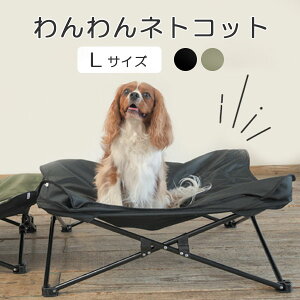 Wanyanya lgRbg LTCYbybgRbg hbORbg ybgRbg ybgxbh ybgpi ybg pxbh AEghA p y Vv ܂肽ݎ 