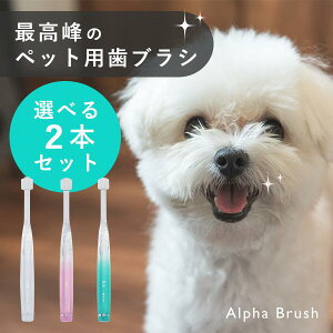 Iׂ2{Zbg Alpha BrushbAt@uV alpha brush ybgpuV puV LpuV ybgpi ybgObY ybgpqpi  oPA a\h RpNg V