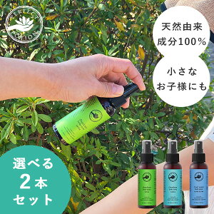 y100~OFFN[|zIׂ2{Zbg AEghA{fBXv[iGNXg/nbJjEN[~g{fBXv[bp[tFNg|[V  {fBXv[ Xv[ 