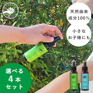 y700~OFFN[|zIׂ4{Zbg AEghA {fBXv[ GNXg nbJbp[tFNg|[V Perfect Potion {fBXv[ AEghA Xv[ 悯 {fB~Xg 