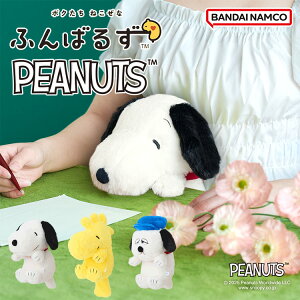 y10zӂ΂邸 PEANUTS Xk[s[ EbhXgbN ItbSnoopy Woodstock Olaf ʂ p p fXN[N Lw Lw ObY G NbV  s[ibc 
