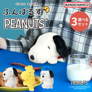 y500~OFFN[|zIׂRv[gZbg ӂ΂邸 PEANUTS Xk[s[ EbhXgbN ItbSnoopy EbhXgbN Woodstock It Olaf ʂ p p fXN[N Lw 