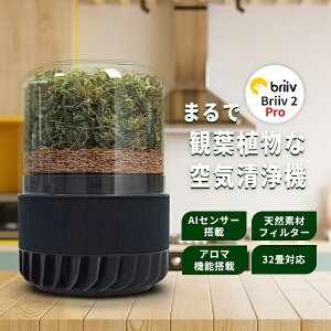 観葉植物 空気清浄」の人気商品一覧・価格比較 - 価格.com