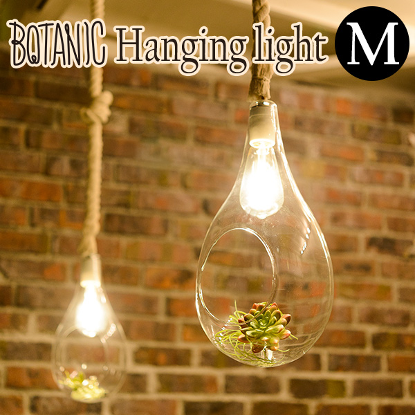楽天市場】BOTANIC HANGING LIGHT M ボタニック ハンギングライト APE