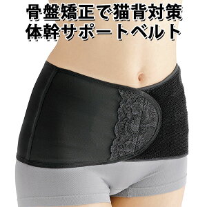 ̊T|[g Xxg ̊ Lw̉P T|[^[ ՃT|[g/C_Cy[֑zy|Cg12{zyp1127z