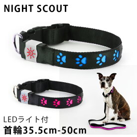 NIGHT SCOUT LED Dog Collar LEDライト付首輪 犬用 48cm（RON）【ASU】