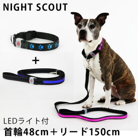2点セット NIGHT SCOUT LED Dog Collar＋LED Dog Leash LEDライト付 首輪＋リード 犬用（RON）【送料無料】【ポイント10倍】【5/31】【ASU】