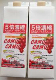 カムカム5倍濃縮飲料（果汁30％）1&#8467;×2本セット
