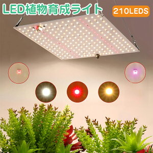 A琬Cg LED pl 210 Px 2iK cCg ϗtA A  tXyNg gFLED vgCg A琬pv k͔|Cg pCg ȃGl  