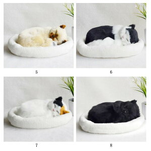 ċzĖ郊AȔL̂ʂ ˂ ʂ A {  ybg ₷▰ ㉺  ybgX xbht AM[   Aj}  Aj}