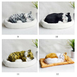 ċzĖ郊AȔL̂ʂ ˂ ʂ A {  ybg ₷▰ ㉺  ybgX xbht AM[   Aj}  Aj}