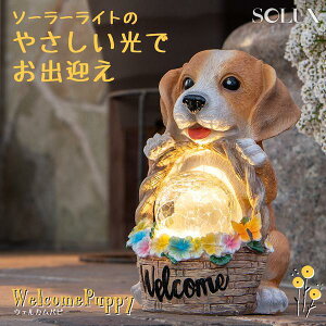K[fCg O zd \[[[d 킢 \[[Cg h h  \[[ led  u^  ze iX v[g Xg