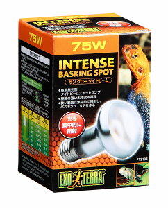 WFbNX GL]e TO[ ^Cgr[ 75W PT2136 GEX EXOTERRA