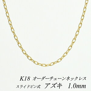 ネックレス ペンダント 18金 チェーン 45cm スライドピン」の人気商品 