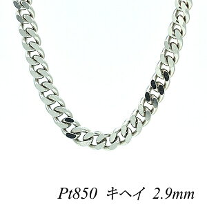 v`i lbNX v`i `F[ Pt850 pt850 v`i850 약`F[ 2.9mm 60cm lbNX `F[ `F[̂ `F[ 2 ւ LwC 약 180ԂCۏ