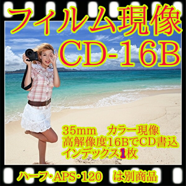 ネガ現像　カラーネガフィルム現像　高解像度ＣＤデータ書込（持込USBに書込可）　インデックス１枚　　カラーC-41処理３５ミリ、写ルンですレンズ付フィルム、フジカラー　純正現像液　写真　　ネガ（ＡＰＳ  ハーフ　120は別出品）