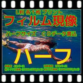 ハーフ 　カラー ネガフィルム 現像 L版 各1枚 プリント CD書込 高解像度 16Bでデータ保存 フジカラー 純正現像液　写真　同時プリント