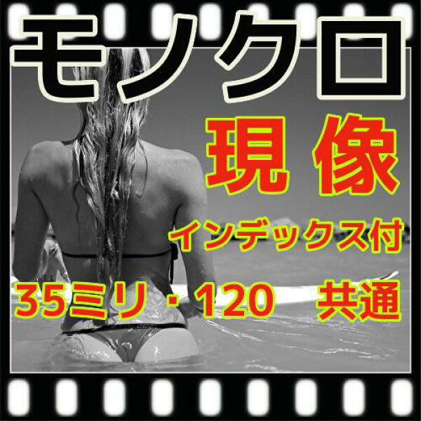 モノクロ　フィルム　現像するだけ　＝　現像のみ　＝　スルー　インデックス付（Ｂ＆Ｗ現像）　35ミリ・120共通料金（　220は２本分　）