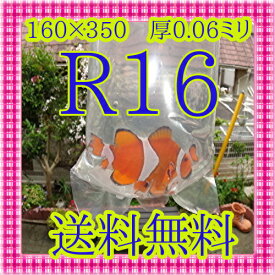 R16-100枚　丸底ビニール袋 　パッキング袋（メール便指定のみ送料無料）画像の赤いプリント付は古い商品です