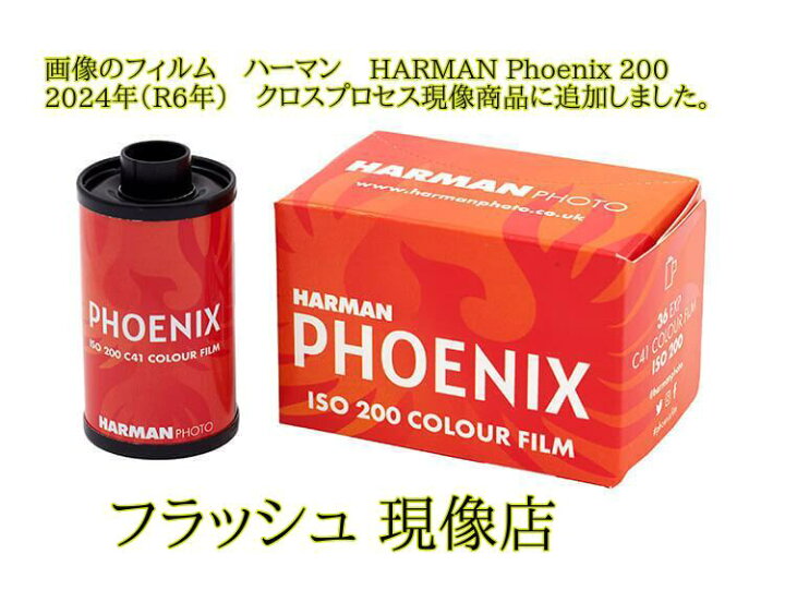 楽天市場】中判カメラ ブローニー120 カラー フィルム 現像 L版 各1枚 