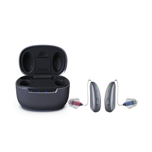 HIDISC W HDDW2 ̐傫₷