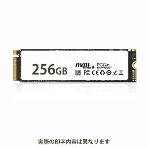 HIDISC NVMe SSD 256GB R3000 W1300 HDJ500G3-256NVM