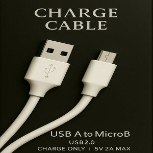 �y���t�@�[�r�b�V���z�y10�Z�b�g�z�}�C�N��USB�P�[�u���@0.26�`0.27m�@�z���C�g R-MCC026WH�@�[�d��p�i�f�[�^�]����Ή��j