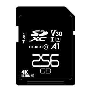 oNi SDXCJ[h 256GB CLASS10 UHS-I class3, A1Ή [ԕis]