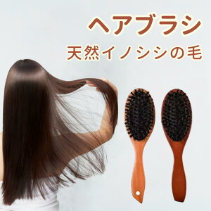 wAuV VR CmVV̖  }bT[W _炩 wAX^CO c[