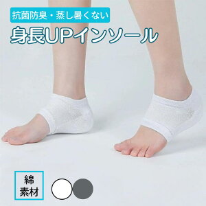 V[NbgC\[ Y fB[X C  ɂ n[t pbh VR  Rbg Ռz hL  y ϖ 3cm zCg O[