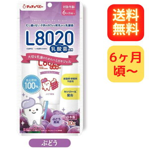 ``xr[ L8020_ n~KL^CWF uhE 6` nmnGnWJcJGn~KLWF ݂ qǂp  