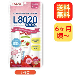 ``xr[ L8020_ n~KL^CWF C`S 6` nmnGnWJcJGn~KLWF ݂ qǂp  