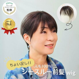 前髪が薄くなってきた方へ　自然になじむ｜シースルー前髪ウィッグ（人毛100％）【3×4cm】｜ちょい足しウィッグシリーズ 自然な人毛 軽量＆簡単装着で理想の前髪を実現 ナチュラルが魅力 薄毛対策・ヘアスタイルのパーツ使いに最適 ミドル世代 部分ウィッグ ヘアピース