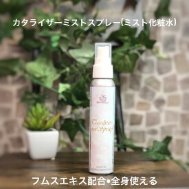 カタライザー ミストスプレー 100ml 敏感になっている肌に 肌にやさしい フムスエキス配合 糖鎖栄養素 マルチスキンケア 化粧水前の化粧水 全身に使えるスプレー サロン専売品 おうちケア