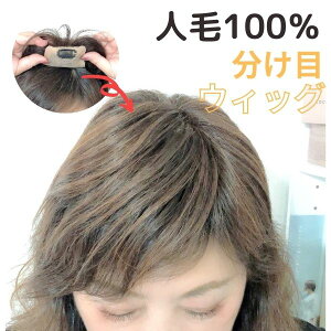 ヘアピース かつら 白髪の通販 価格比較 価格 Com