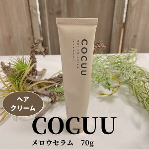 yCOCUURLEzEZ 70g@wAN[ I[KjbNz R[Q ICP` wAX^CO wAPA _[W  lуEBbO e ꔄi