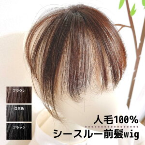 50代 ウィッグの人気商品 通販 価格比較 価格 Com