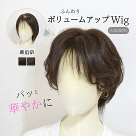 楽天市場】 部分ウィッグ : 大人女子サポート フラッティス