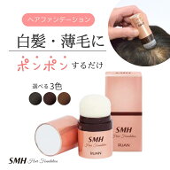 スーパーミリオンヘアー SMH ヘアファンデーション 3g 12g ブラック ダークブラウン ライトブラウン 生え…