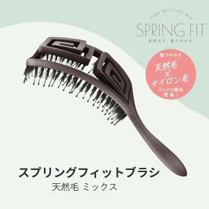 shobido �ϔ��� �X�v�����O�t�B�b�g�u���V �V�R�у~�b�N�X �w�A�u���V �w�A�P�A �u���V ���� �� �X�J���v�P�A �w�A�[ �T���T�� ���� �}�b�T�[�W �N�V ���� ���񂾔����₳�����ق����Ȃ���u