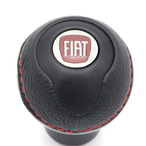 FIAT 500 TUNE Vtgmu(ubN×bhXeb`) tBAbg CeA  p[c