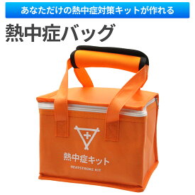 【送料無料】 熱中症バッグ バッグのみ 熱中症対策キット用 収納ケース 持ち運び 折りたたみ 軽量 取っ手付き 収納ボックス 学校 企業 工場 建設現場 スポーツ大会 イベント 配布用 熱中症対策グッズ入れ　持ち手カバー付き
