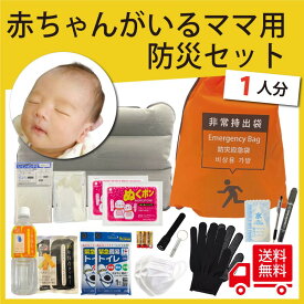 【無料定期便対象】赤ちゃん用防災セット　1人用 20品27点 プロの防災士監修　地震対策 災害備蓄 防災用品 非常用持出袋