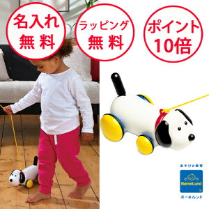 ボーネルンド マックス アンビトーイ おもちゃ プルトイ 誕生日プレゼント 1歳 出産祝い ハーフバースデー 男の子 女の子 プルトーイ ambi toys 無料 名入れ AM31211J