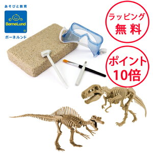 {[lh @Lbg eBmTEXXsmTEX Gfg[C av[g 6 mߋ j̎q ̎q 傤イ _Ci\[  EDGM338