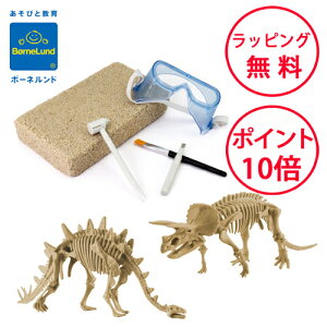 {[lh @Lbg XeSTEXgPgvX Gfg[C av[g 6 mߋ j̎q ̎q 傤イ _Ci\[  EDGM339