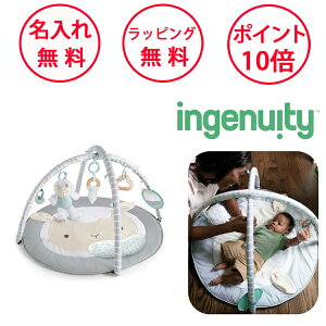 CWFjCeB V[vX|bgEANeBreBW xr[W vC}bg xr[}bg vCW Ԃ  n[to[Xf[ av[g 1 j̎q ̎q o