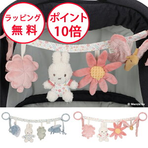 ~btB[ Xg[[gC [bL[ubT/bL[[uX] g_b` oYj xr[J[  Ԃ xr[ ANeBreBgC n[to[Xf[ j̎q ̎q a